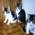 ネコ写真-画像03-「我が家のネコ達・1992年の猫達6」